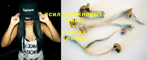 apvp Алексеевка