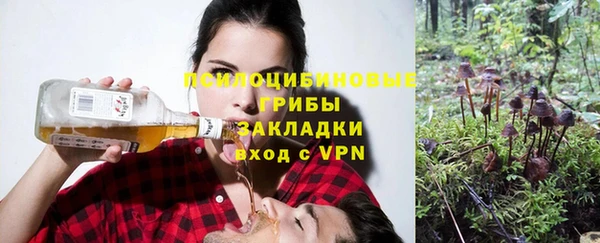 мяу мяу мука Алексин
