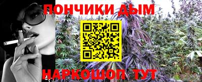 трава Гатчина