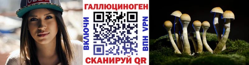Псилоцибиновые грибы MAGIC MUSHROOMS Нефтекамск